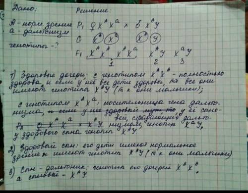 Умаши и олега, имеющих нормальное зрение, родились два сына и две дочери. у первой дочери зрение нор