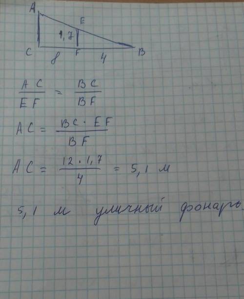 Человек ростом 1,7 м стоит на расстоянии 8 м от уличного фонаря. длина теничеловека равна 4 м. опред