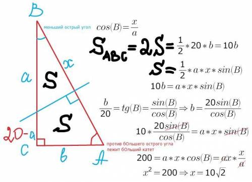 40 за одну на планиметрию! площадь прямоугольного треугольника разделена пополам прямой, перпендикул