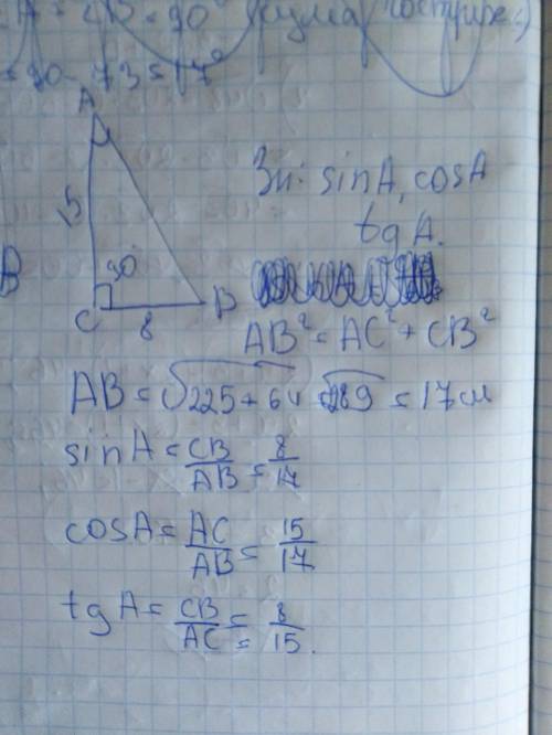 Впрямоугольном треугольнике abc (угол c=90градусов) катеты bc=8см, ac=15см. найдите синус, косинус и