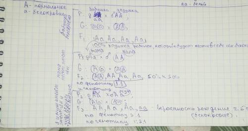 Сделать генеалогическое древо по заболеванию белокровие(примерно).