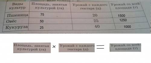 Вфермерском хозяйстве площадь посевного поля равна 150га одна вторая часть его занята пшеницай ,50га