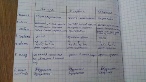 (вечерница) 1) отметьте особенности внешнего строения корня определите тип корневой системы 2)изучая