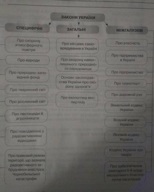 Ознайомтесь із структурою екологічного законодавства України. Поясніть, як взаємопов'язані екологічн