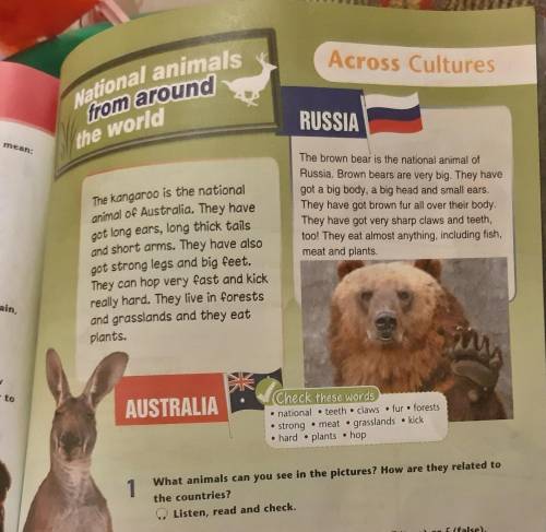 What animals can you see in the pictures? How are they related to the countries? Listen, read and ch