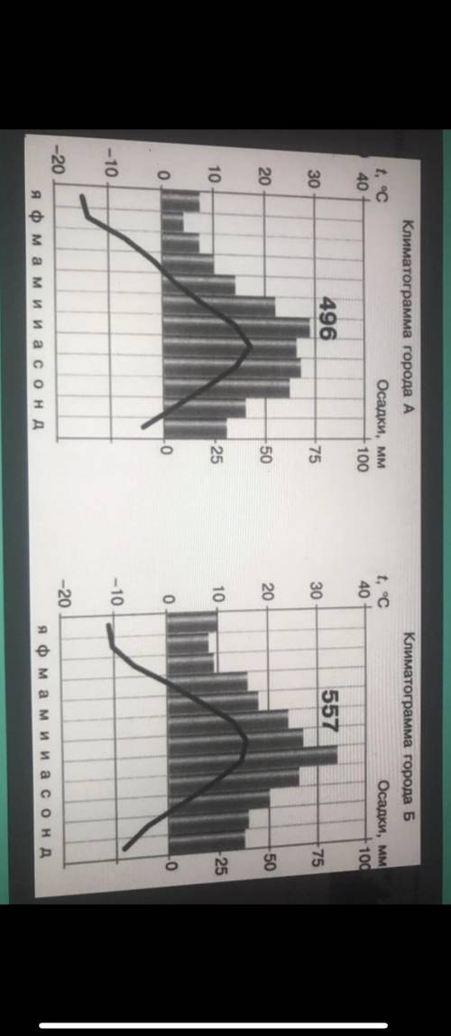 Назовите годовое количество осадков в городе Б
