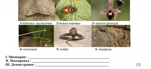 Рассмотрите рисунки. (а) соотнесите примеры при адаптаций) (1-5) с видами при