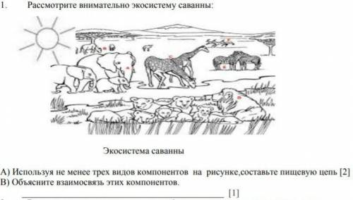 Рассмотри внимательно экосистему саванны. Используя не менее трёх видов компонентов на рисунке, сост