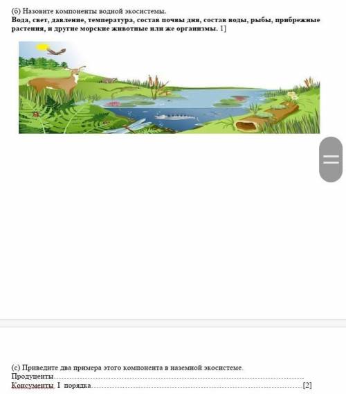 ПО БИОЛОГИИ ОДНО ЗАДАНИЕ:с)Приведите два примера этого компонента в наземной экосистеме.ПродуцентыКо