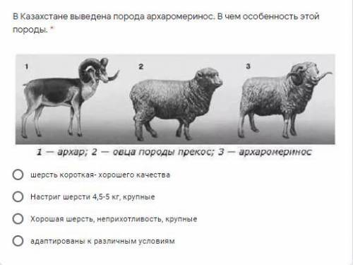 В Казахстане выведена порода архаромеринос. В чем особенность этой породы.