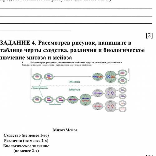 СОЧ ПО БИОЛОГИИ БАЛОВ (8 КЛАСС)