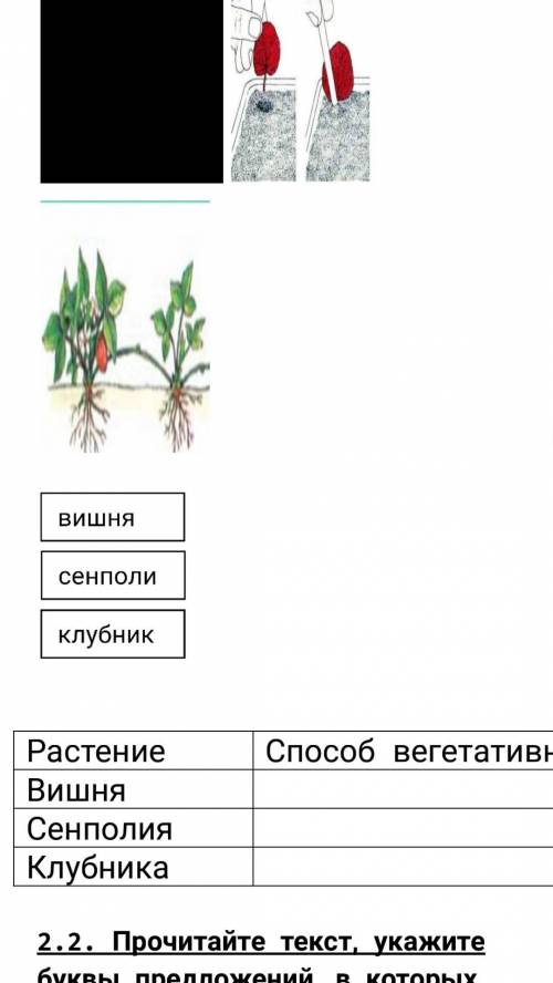 СОЧ с одним заданием (оно на фото) заранее огромноЕ