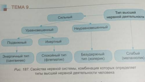 Как изменяется продолжительность долговременной памяти и какие это имеет значение для человека (с гр