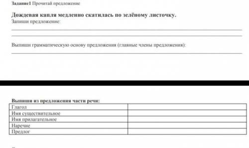 Дождевая капля медленно скатилась по зелёному листочку