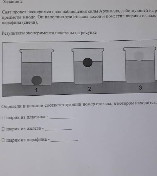 Саят провел эксперимент для наблюдения силы Архимеда, действующей на различныепредметы в воде. Он на