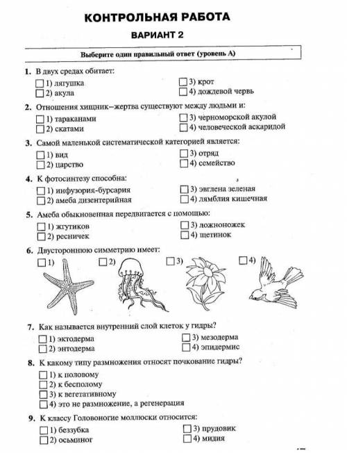 Биология хелп, вообще не пойму