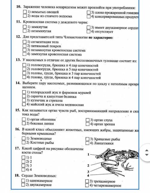 Биология хелп, вообще не пойму