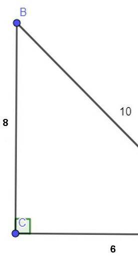 Обчисліть tg A.вариант ответа1) =3/42) =4/33) =0,64) =0,8​