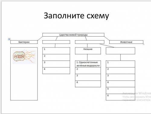 Заполните схему. Царство живой природы.