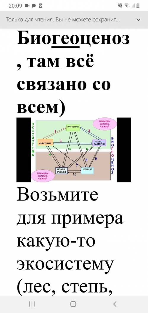 НУЖНО СОСТАВИТЬ ВЗАИМОСВЯЗИ