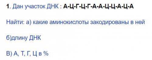 Дан участок ДНК : А-Ц-Г-Ц-Г-А-А-Ц-Ц-А-Ц-А Найти: а) какие аминокислоты закодированы в ней б)длину ДН