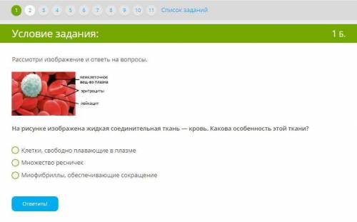 Рассмотри изображение и ответь на во На рисунке изображена жидкая соединительная ткань — кров