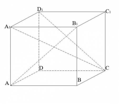 ДАНО:ABCDA1B1C1D1 – куб.Знайти:кути нахилу прямих CD1, A1C i AB1до площини A1B1C1​