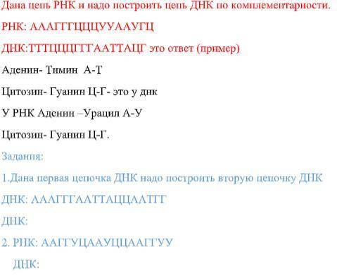 Задания: 1.Дана первая цепочка ДНК надо построить вторую цепочку ДНК ДНК: ААА ГГГ ААТ ТАЦ ЦАА ТГГ Д