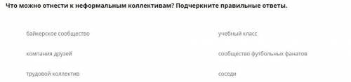 Что можно отнести к неформальным коллективам? Подчеркните правильные ответы.