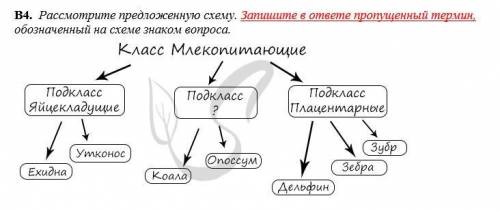 Решите все , что на скриншотах ,