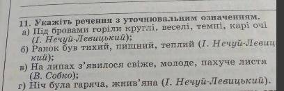 Укажіть речення з уточнювальним означенням