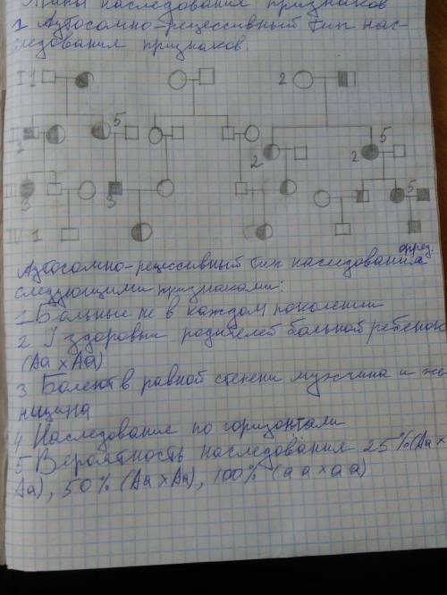 Пож Отметьте в родословной 4 пункт - наследование по горизонтали(где он должен быть) с п