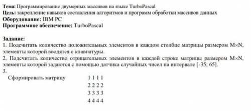 кто понимает информатику ​