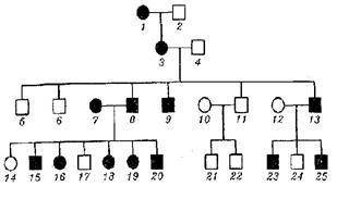 33. Визначити за родоводом (рис. 11) характер успадкування (домінантність чи рецесивність) ознаки,