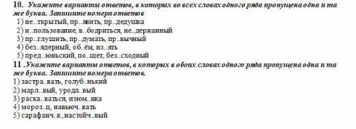 Дайте ответ на 2 задания , 10 и 11 задание быстрее )