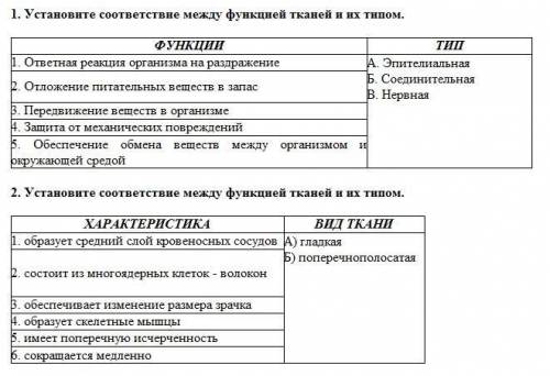 КАКОВЫ ФУНКЦИИ И CRACTERISTICS ТКАНЕЙ? ОТКРЫТЬ ИЗОБРАЖЕНИЕ...