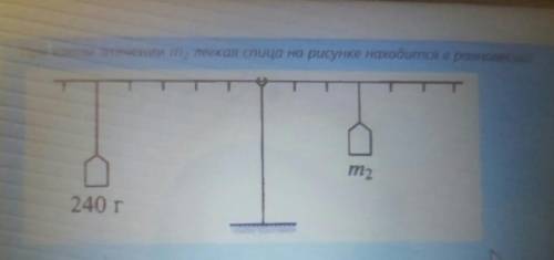 ответ дайте бистро ​ задания при каком значении m2 легкая столиц на рисунке находится