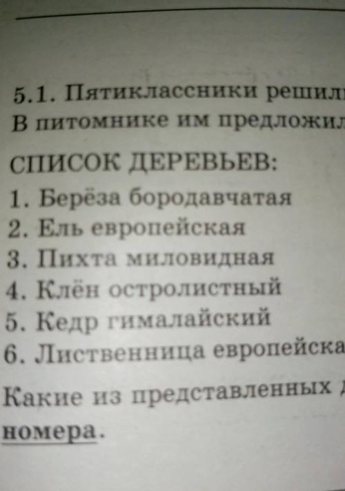 Какие деревья из представленных вечнозелёные?​