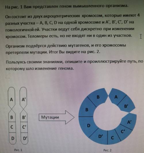 Решите задачу. Опишите и проилюстрируйте путь, по которому шло изменение генома по фото