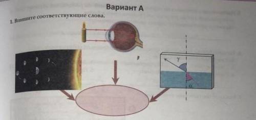 Впишите соответствующие слова