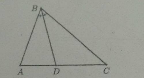На рисунке изображен треугольник ABC и его биссектриса BD. Найдитеотношение DC:АС, если AB = 5 иBC =