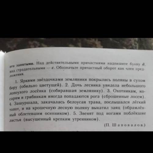 Яркими звёздочками земляники покрылись поляны в сухом бору ( обильно цветущей-прилагательное наверно