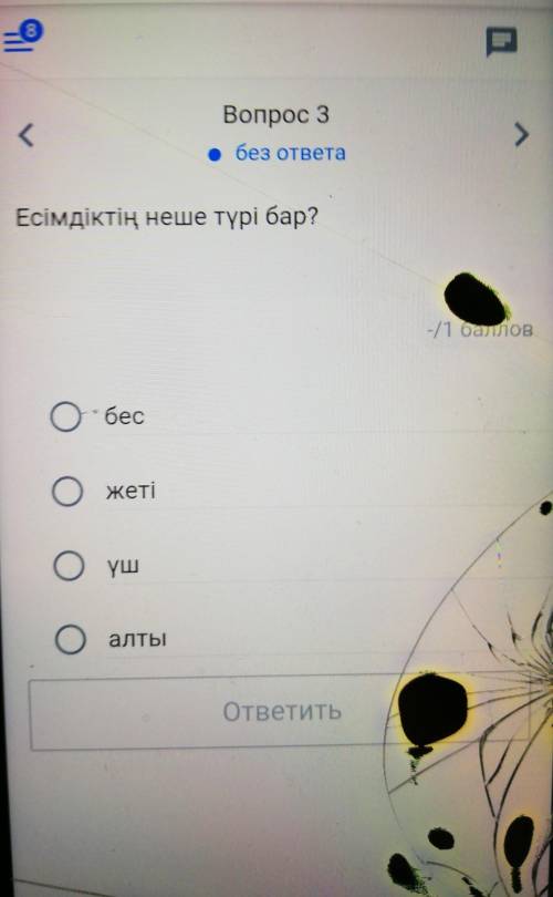 Есімдіктің неше түрі бар?​