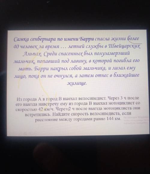 Самка сенберовара по палмега Карри сагслаа жизни более 40 человеком время.... летней службы в аейцар