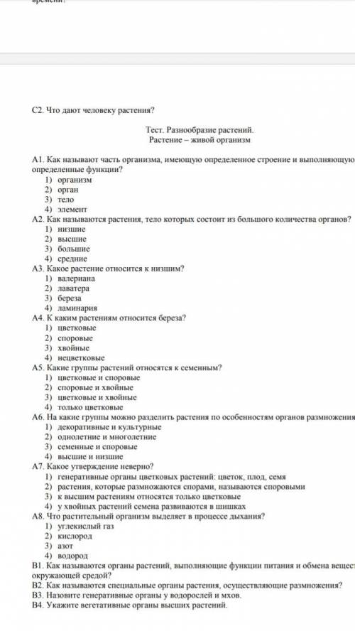 обешаю но за правильный ответ❤