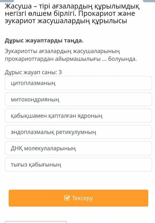 Эукариотты ағзалардың жасушаларының прокариоттардан айырмашылығы ... болуында. Дұрыс жауап саны: 3ци