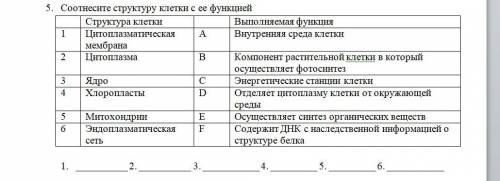 5. Соотнесите структуру клетки с ее функцией Структура клетки Выполняемая функция