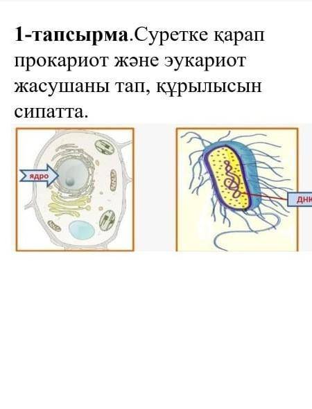 Өтінем осыны орындап беріңдерші