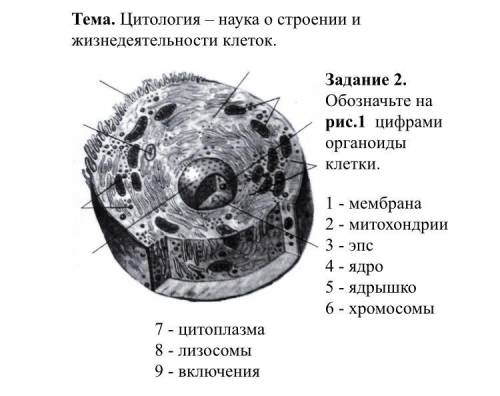 надо разобраться , дали контрольную а понять не могу