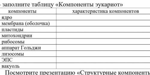 Заполните таблицу «Компоненты эукариот» ​